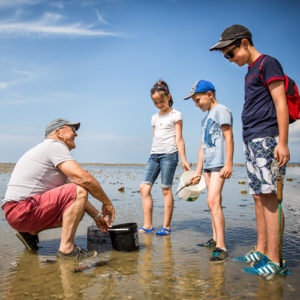 la pêche à pied en bretagne sud