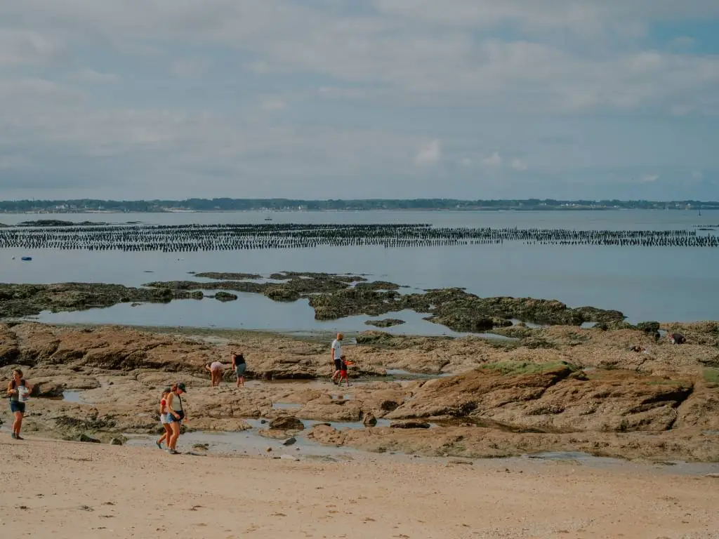 Chadotel Les Iles à Pénestin - plage marée basse idéale pour la pêche à pied